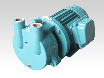 SK系列水环式真空泵及压缩机WF02 